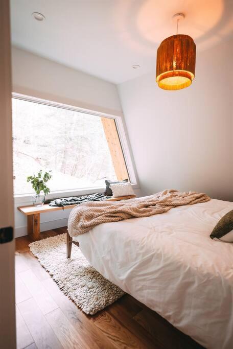 Dunlap Hollow A-Frame Rockbridge Екстер'єр фото
