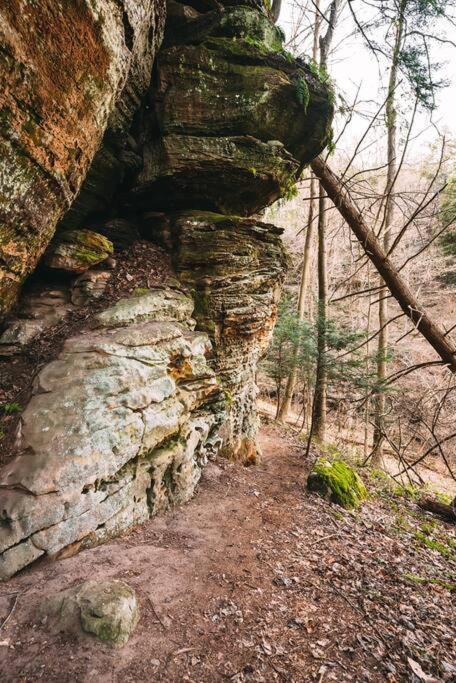 Dunlap Hollow A-Frame Rockbridge Екстер'єр фото