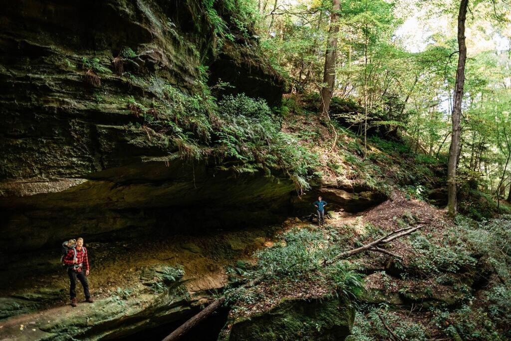 Dunlap Hollow A-Frame Rockbridge Екстер'єр фото