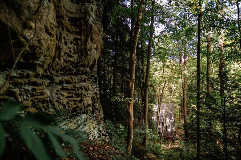 Dunlap Hollow A-Frame Rockbridge Екстер'єр фото