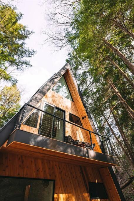 Dunlap Hollow A-Frame Rockbridge Екстер'єр фото