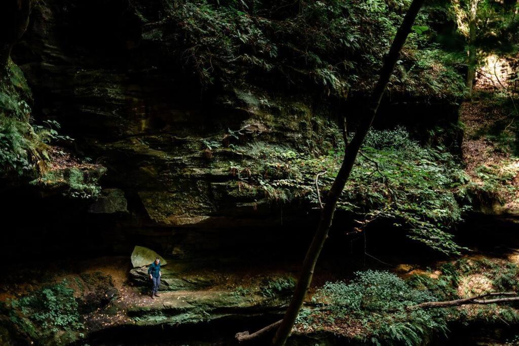 Dunlap Hollow A-Frame Rockbridge Екстер'єр фото