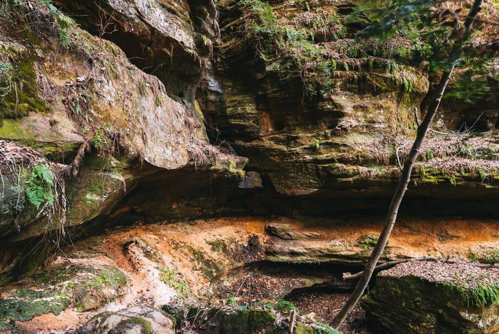 Dunlap Hollow A-Frame Rockbridge Екстер'єр фото